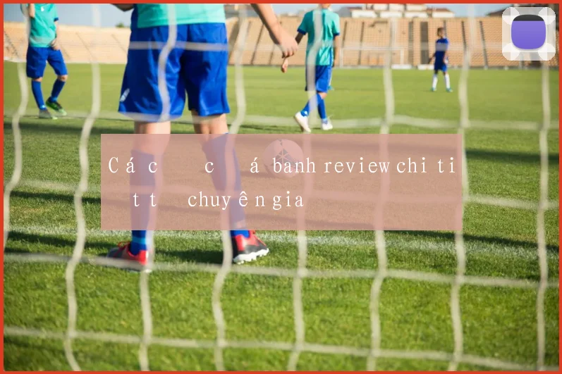 Cá cược đá banh review chi tiết từ chuyên gia
