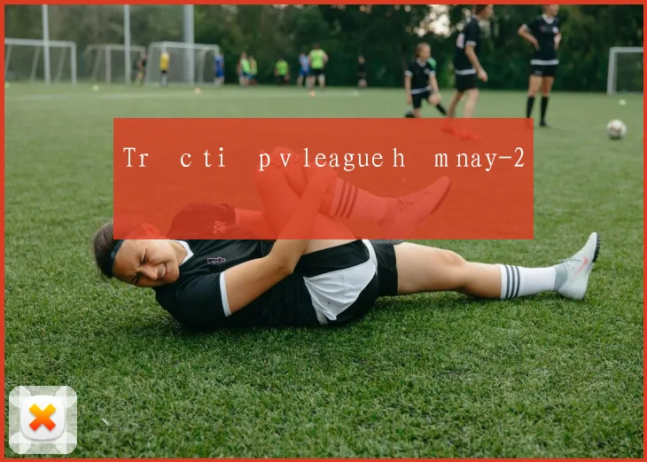 Trực tiếp v league hôm nay